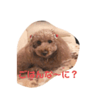 ここてゃんだよ〜（個別スタンプ：5）