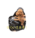 ここてゃんだよ〜（個別スタンプ：8）