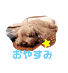 ここてゃんだよ〜（個別スタンプ：15）