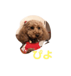ここてゃんだよ〜（個別スタンプ：32）