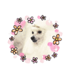 まのんすたんぷ（個別スタンプ：1）