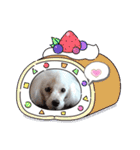 まのんすたんぷ（個別スタンプ：11）