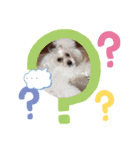 まのんすたんぷ（個別スタンプ：13）