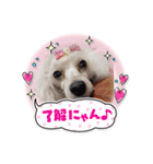 まのんすたんぷ（個別スタンプ：16）