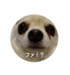 マロマロマロマロ（個別スタンプ：2）