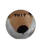 マロマロマロマロ（個別スタンプ：11）