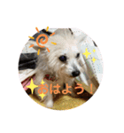 女帝様の日常〜使いやすい編〜（個別スタンプ：1）