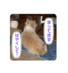 女帝様の日常〜使いやすい編〜（個別スタンプ：6）