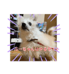 女帝様の日常〜使いやすい編〜（個別スタンプ：14）