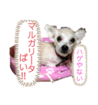 女帝様の日常〜使いやすい編〜（個別スタンプ：16）