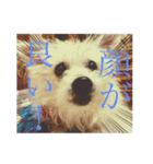 女帝様の日常〜使いやすい編〜（個別スタンプ：18）