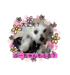 女帝様の日常〜使いやすい編〜（個別スタンプ：25）