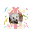 女帝様の日常〜使いやすい編〜（個別スタンプ：35）