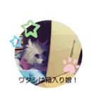 女帝様の日常〜使いやすい編〜（個別スタンプ：37）