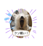 女帝様の日常〜使いやすい編〜（個別スタンプ：38）