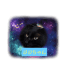 猫ちゃんたちの癒しスタンプ（個別スタンプ：1）
