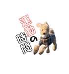 クルミとみるく（個別スタンプ：5）