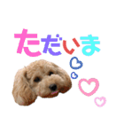 クルミとみるく（個別スタンプ：18）