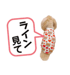 クルミとみるく（個別スタンプ：31）