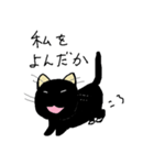 ほぼほぼ黒猫（ハハハハ）（個別スタンプ：6）