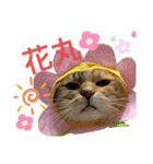 たびしスタンプ（個別スタンプ：8）