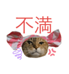 たびしスタンプ（個別スタンプ：9）