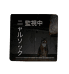 たびしスタンプ（個別スタンプ：14）