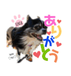 ワンフルエンサーセンタ君（個別スタンプ：2）