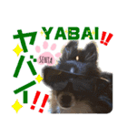 ワンフルエンサーセンタ君（個別スタンプ：3）