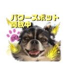ワンフルエンサーセンタ君（個別スタンプ：30）