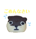 nanda zoo cookies 日常会話編（個別スタンプ：5）