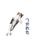uyu＆rau（個別スタンプ：14）
