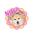 ルナちゃんスタンプ1（個別スタンプ：2）