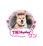 ルナちゃんスタンプ1（個別スタンプ：6）