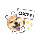 ルナちゃんスタンプ1（個別スタンプ：9）
