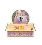 ルナちゃんスタンプ1（個別スタンプ：10）