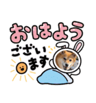 ルナちゃんスタンプ1（個別スタンプ：11）