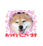 ルナちゃんスタンプ1（個別スタンプ：32）