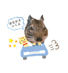 デグーのいる生活♡2（個別スタンプ：3）