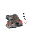 デグーのいる生活♡2（個別スタンプ：9）