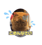 うちのこなっちゃん（個別スタンプ：3）