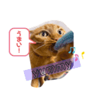 うちのこなっちゃん（個別スタンプ：4）