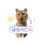 うちのこなっちゃん（個別スタンプ：14）