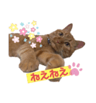 うちのこなっちゃん（個別スタンプ：19）