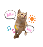 うちのこなっちゃん（個別スタンプ：20）