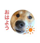 僕、北斗（個別スタンプ：2）