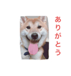 僕、北斗（個別スタンプ：3）