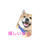 僕、北斗（個別スタンプ：8）