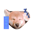 僕、北斗（個別スタンプ：9）