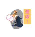 僕、北斗（個別スタンプ：13）